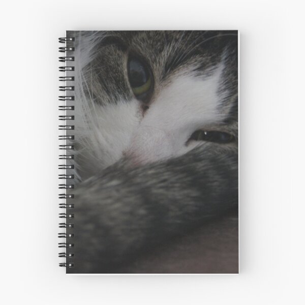 Item preview, Curled Up designed and sold by Lorelle Gromus.