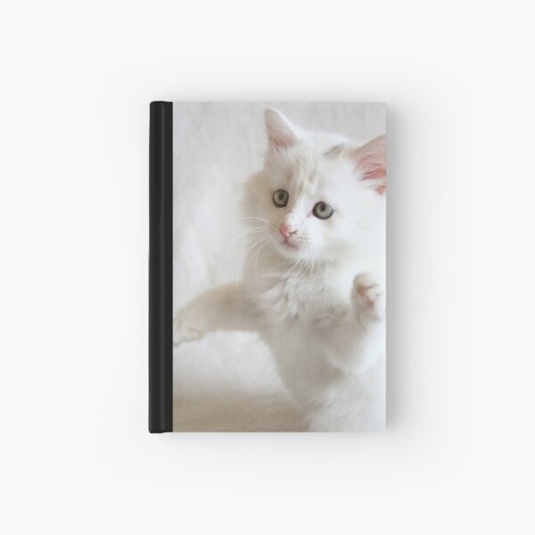 Oliver! Hardcover Journal