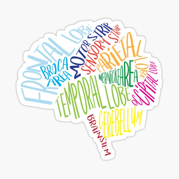 Neuroscientists Neuroscience Stickers for Psychologists Pastel Sticker Psychology Stickers Brain Sticker Vinyl Sticker