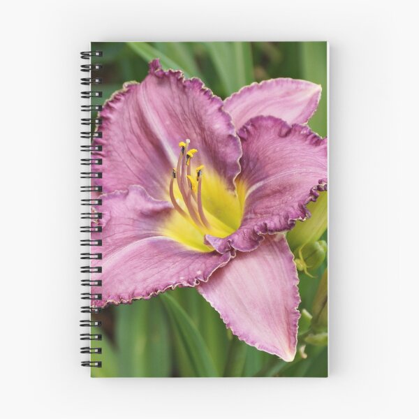 Item preview, Lavender Daylily designed and sold by Sandy Keeton.