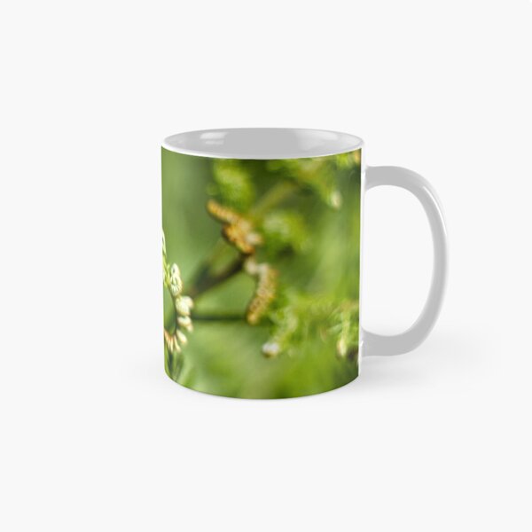 Item preview, A young fern leaf unfolding designed and sold by FOLK ART FUSION.