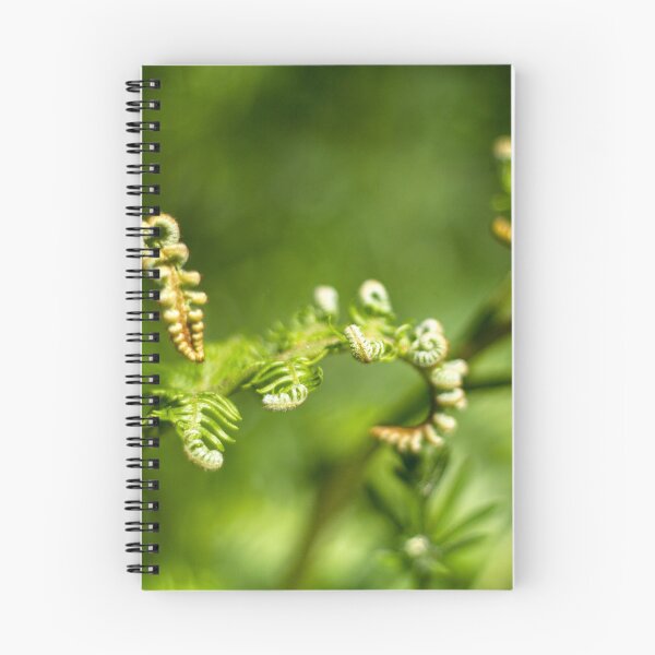 Item preview, A young fern leaf unfolding designed and sold by FOLK ART FUSION by heidiannemorris.
