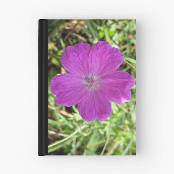 Item preview, Bloody Cranesbill designed and sold by John Quinn.