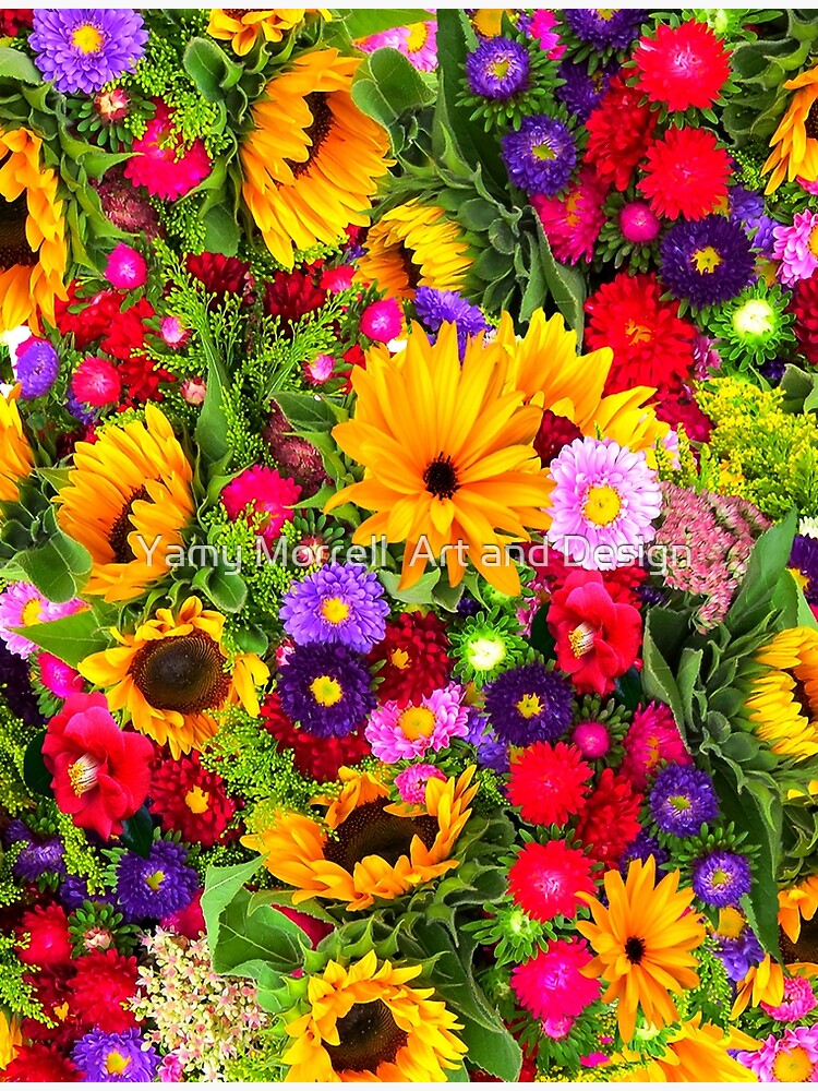 Multicolor Flower Background Images, HD Pictures and Wallpaper For