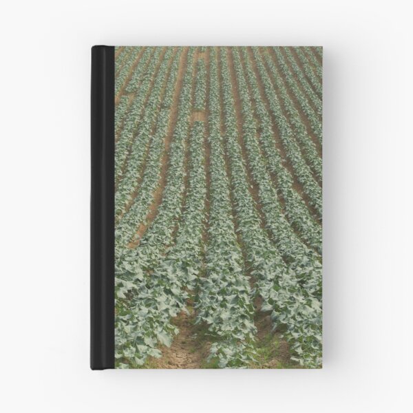 Aperçu de l'œuvre Before the Harvest créée et vendue par Philip Bateman.