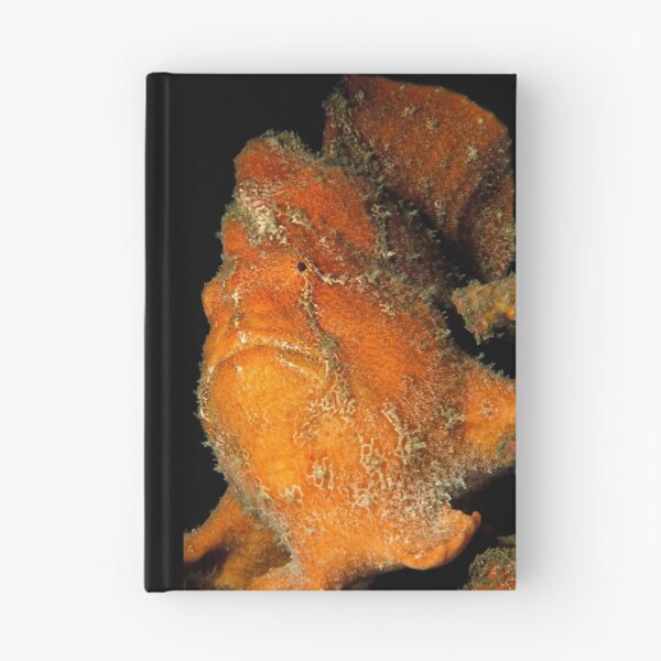 Item preview, Orange Giant Frogfish designed and sold by MattTworkowski.