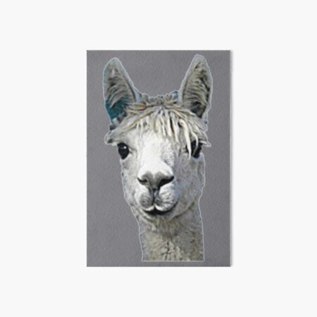 Alpaca Alpakka Alpaka Alpaga Art Board Print