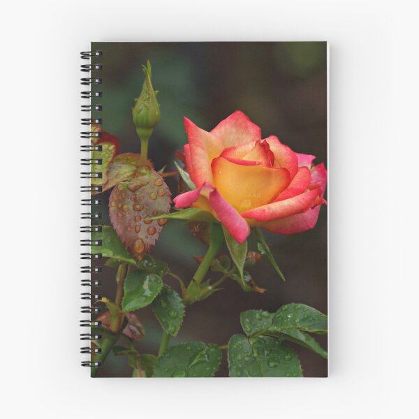 Item preview, Opening designed and sold by Sandy Keeton.