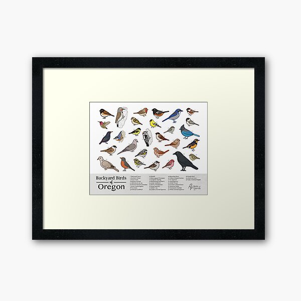 Oregon - Backyard Birds of Oregon Field Guide Print - Bird Art Print - BirdsandFriends.co Framed Art Print