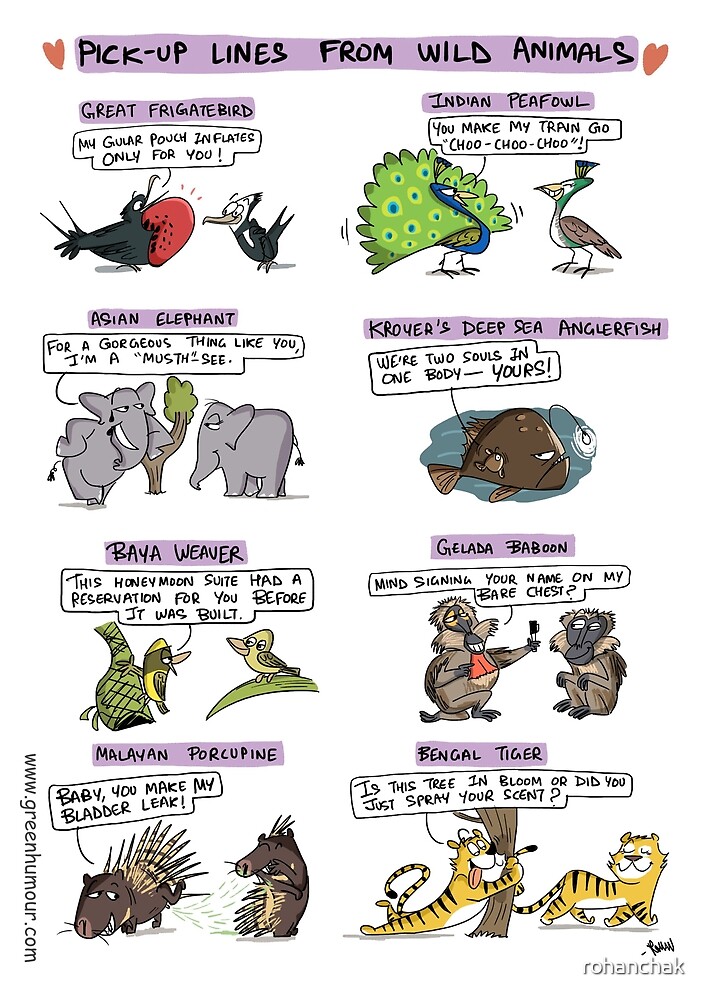 pick-up-lines-from-wild-animals-by-rohanchak-redbubble