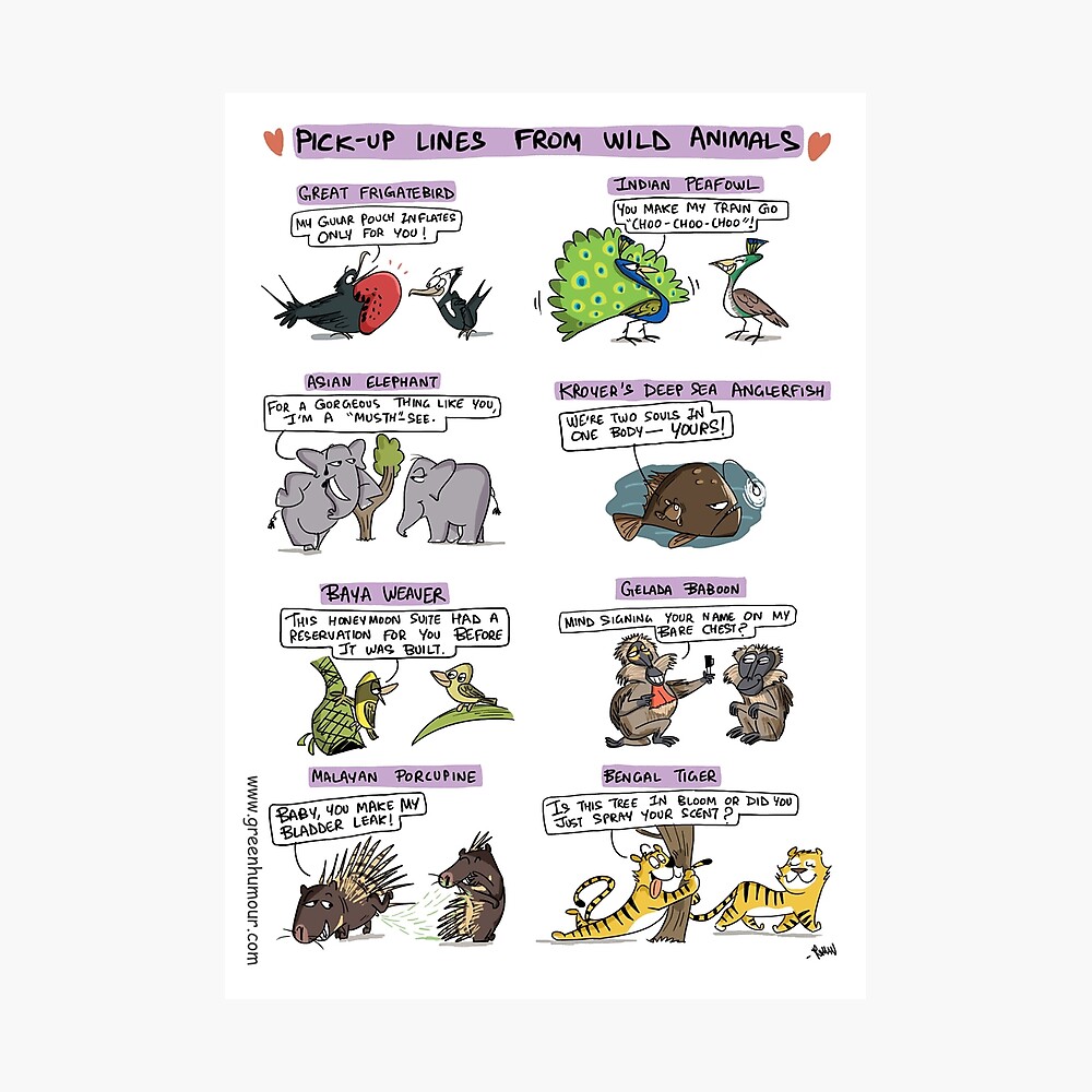 Pick up Lines from Wild Animals Poster for Sale by rohanchak | Redbubble