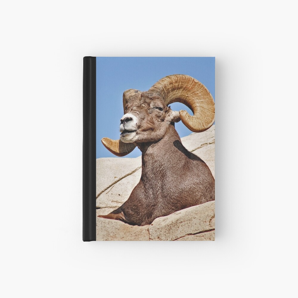 Item preview, Hardcover Journal designed and sold by MaluC.