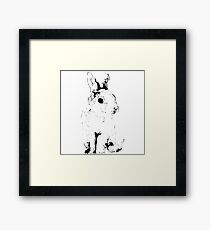 Hase Gerahmtes Wandbild