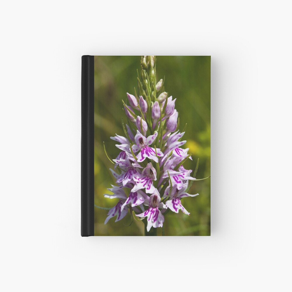 Common Spotted-orchid (Dactylorhiza fuchsii) Hardcover Journal