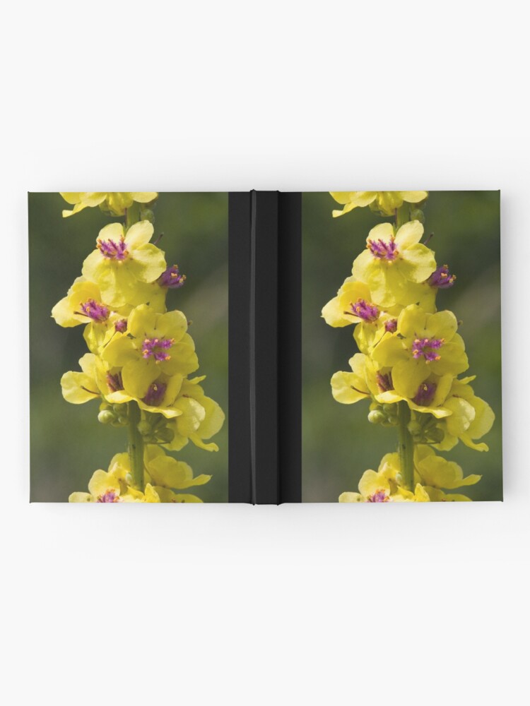 Alternate view of Dark Mullein (Verbascum nigrum) Hardcover Journal