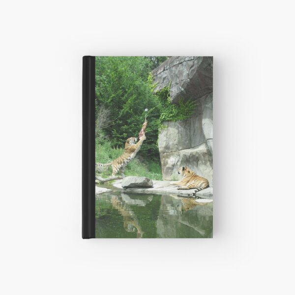Tiger couple at snacktime, vertical Hardcover Journal