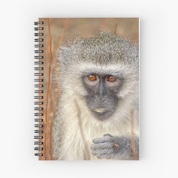 Item preview, Young vervet designed and sold by Jennie  Stock.