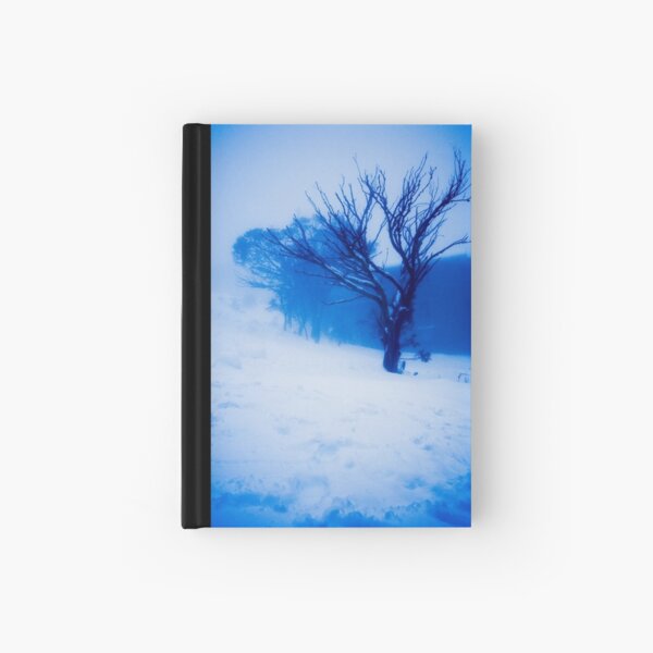 Tree in Ground Cloud (Thinking Outside the Box 101) Hardcover Journal