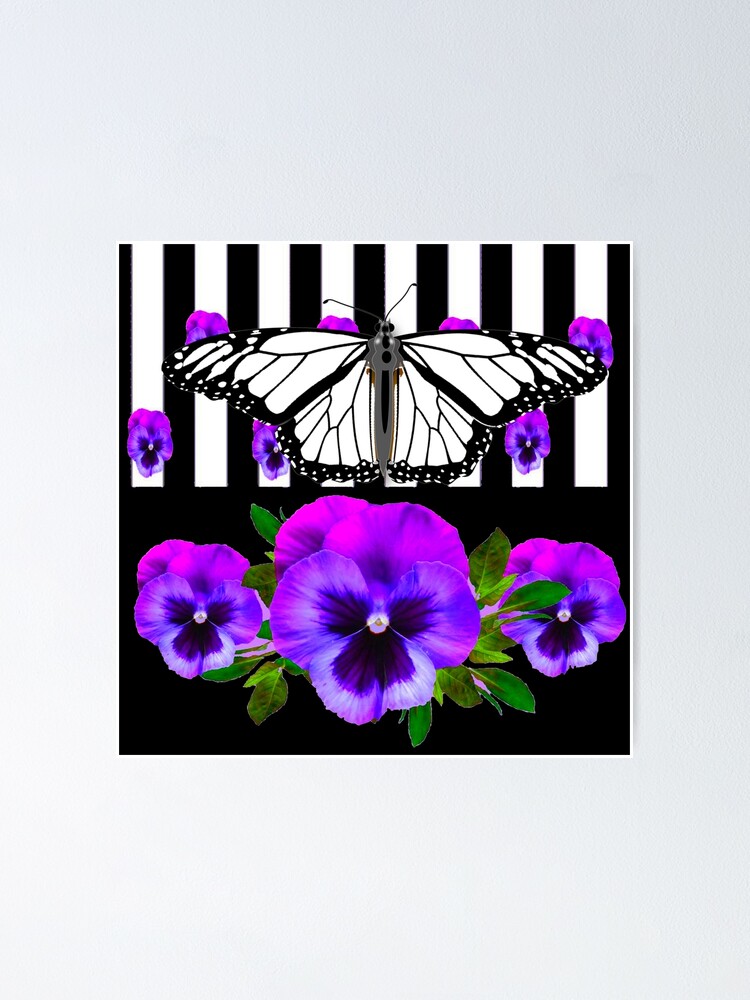 Poster Pansies Violet Blanc Art Noir Papillon Monarque Par Sharlesart Redbubble