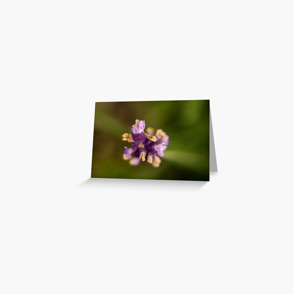 Purple Fuzzy Florals Greeting Card