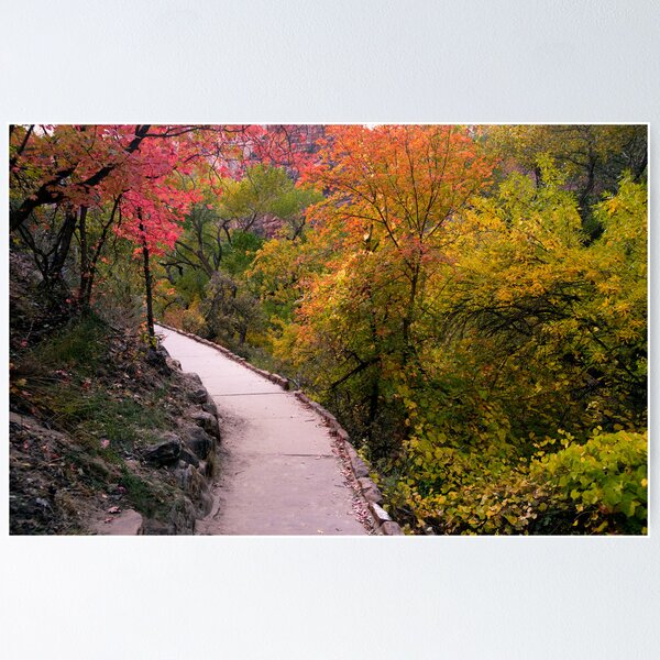 Fall Color on the Trail from Weeping Rock Poster