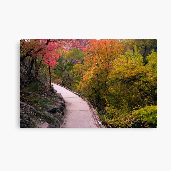 Fall Color on the Trail from Weeping Rock Canvas Print