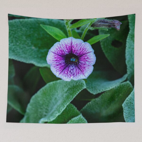 Item preview, Purple Veined Flower  designed and sold by DreamGalleon.