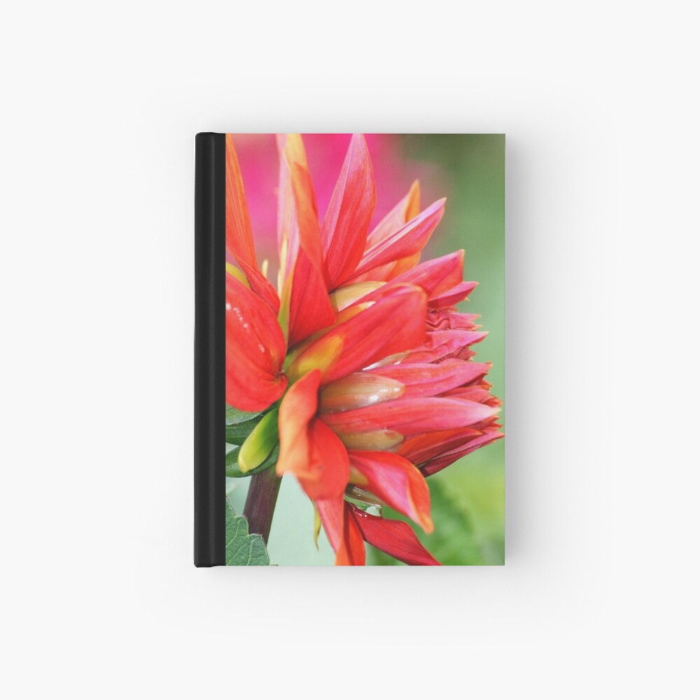 Colourburst Hardcover Journal