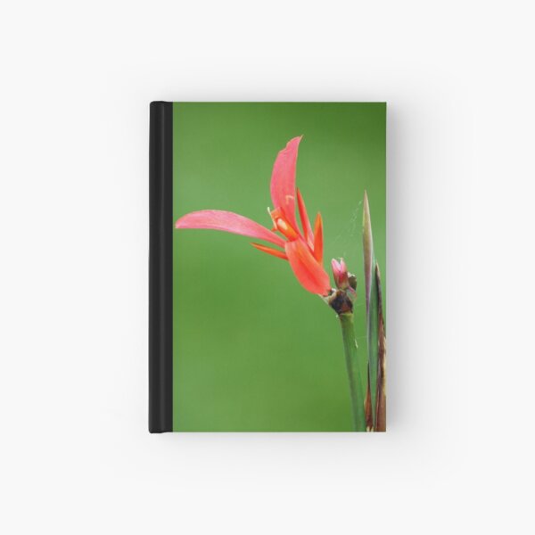 Delicate Shafts of Orange Hardcover Journal