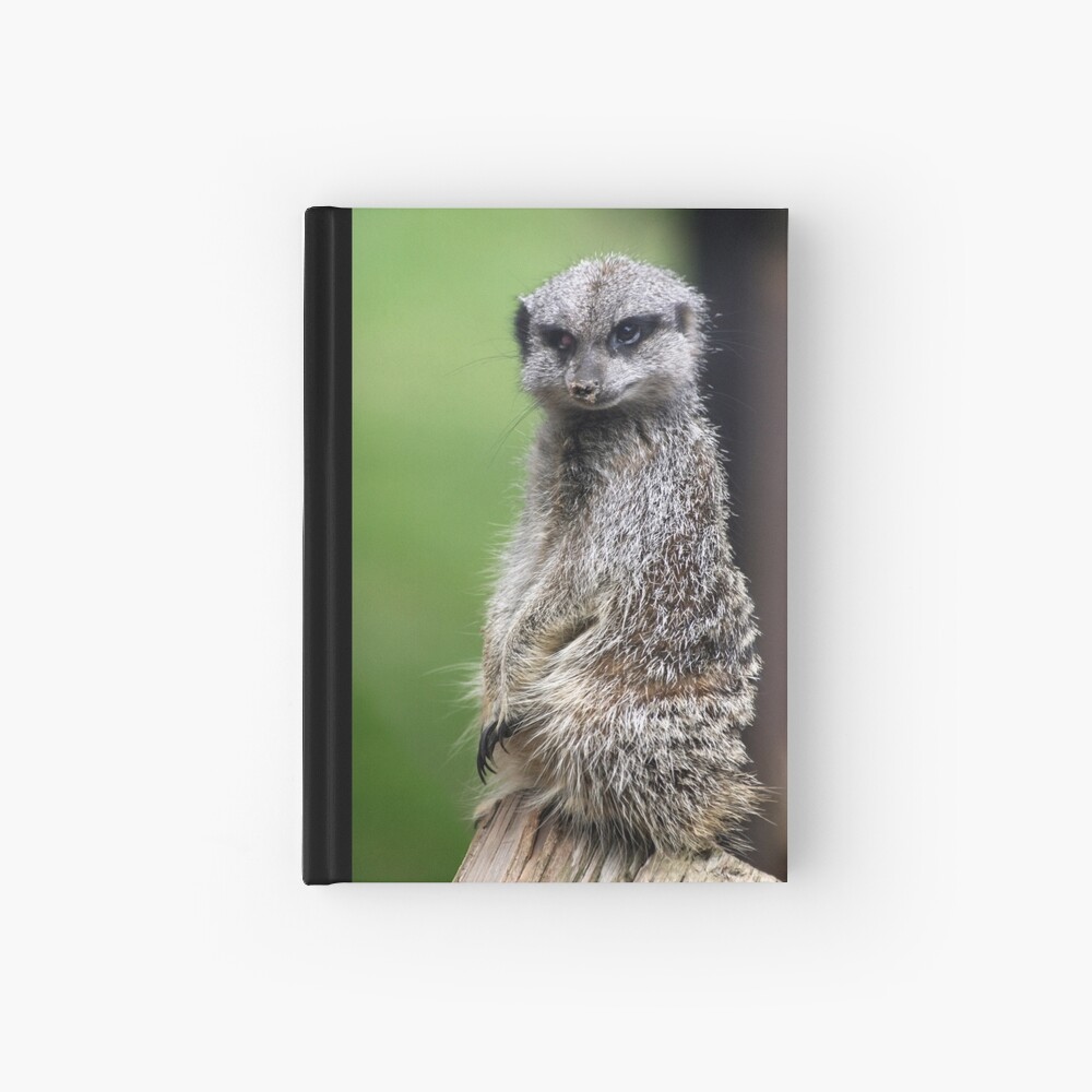 The Wily Meerkat Hardcover Journal