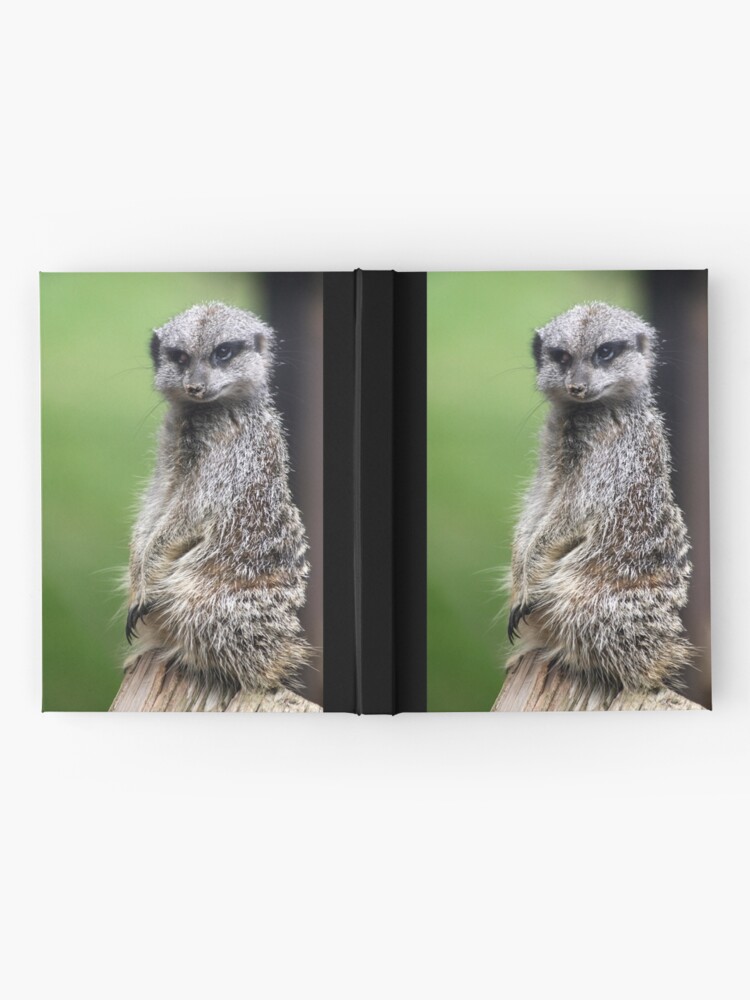Alternate view of The Wily Meerkat Hardcover Journal