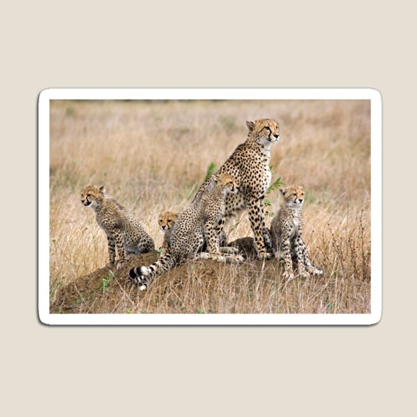 Family Portrait Magnet
