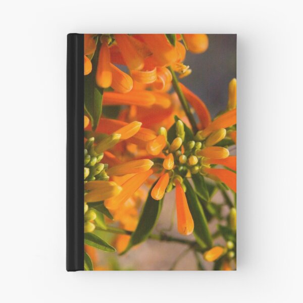 Item preview, Golden Shower Vine  designed and sold by Margaret Whyte.