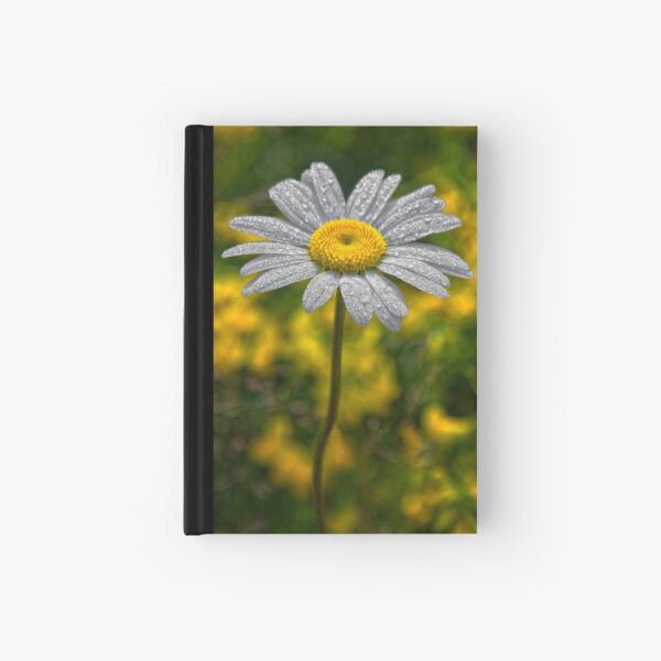 Delicate Hardcover Journal
