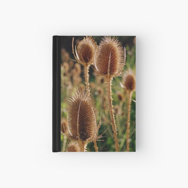Teasles in the morning Hardcover Journal