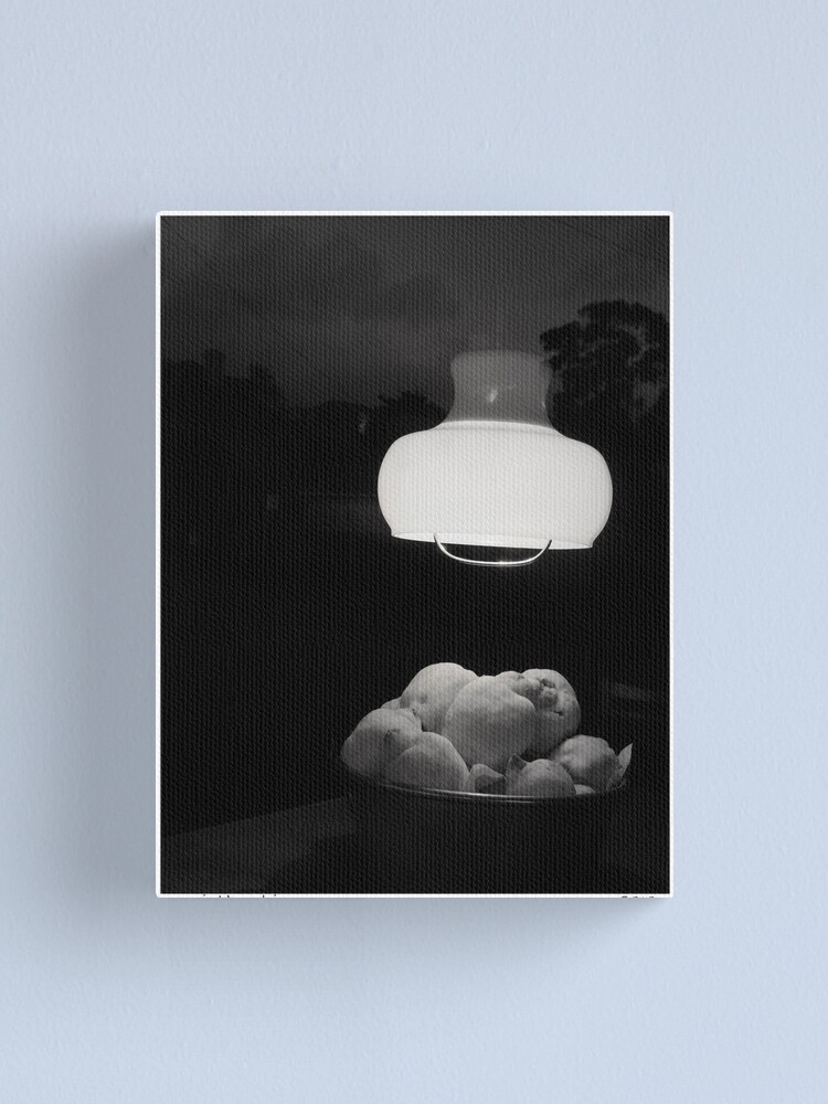 Alternate view of Night Skins Canvas Print