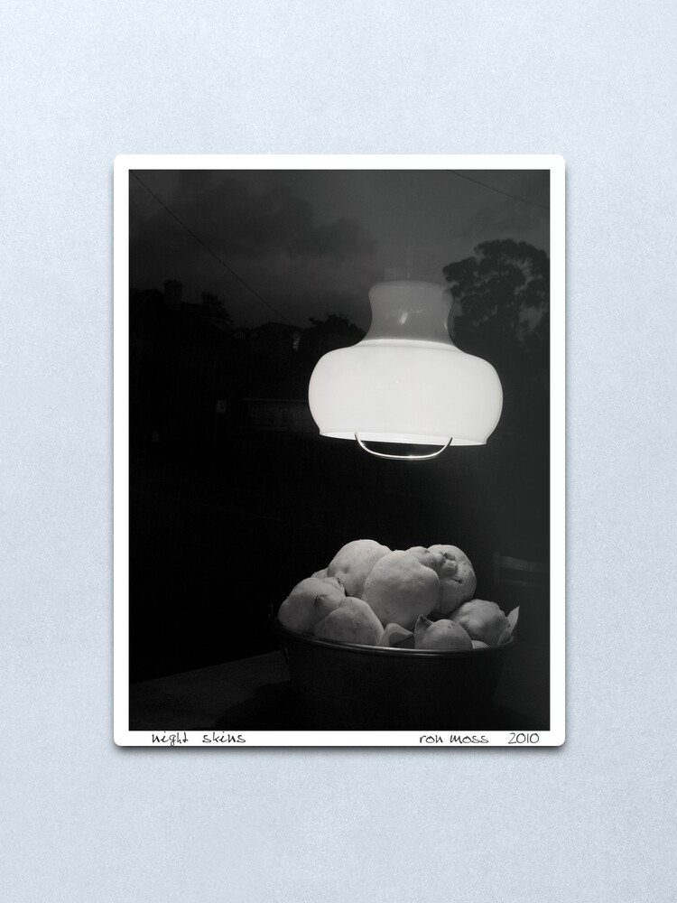 Alternate view of Night Skins Metal Print