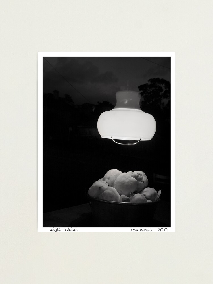 Alternate view of Night Skins Photographic Print