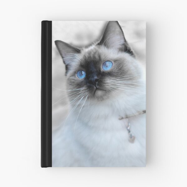 Item preview, Ragdoll designed and sold by Extraordinary Light.