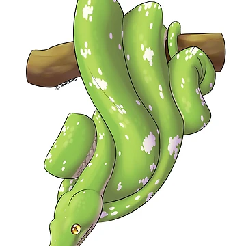 Artwork thumbnail, Green Tree Python by LizardBeans