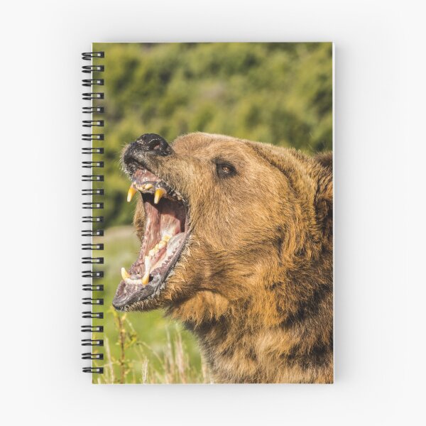 Item preview, Grizzly Bear Roar designed and sold by Matthew Kochel JJ In A Jayco.