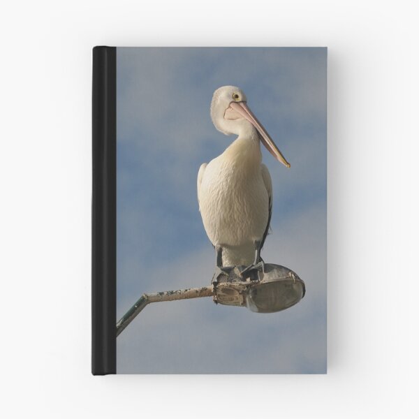 Item preview, Pelican on Light Pole designed and sold by Andy Plarinos.