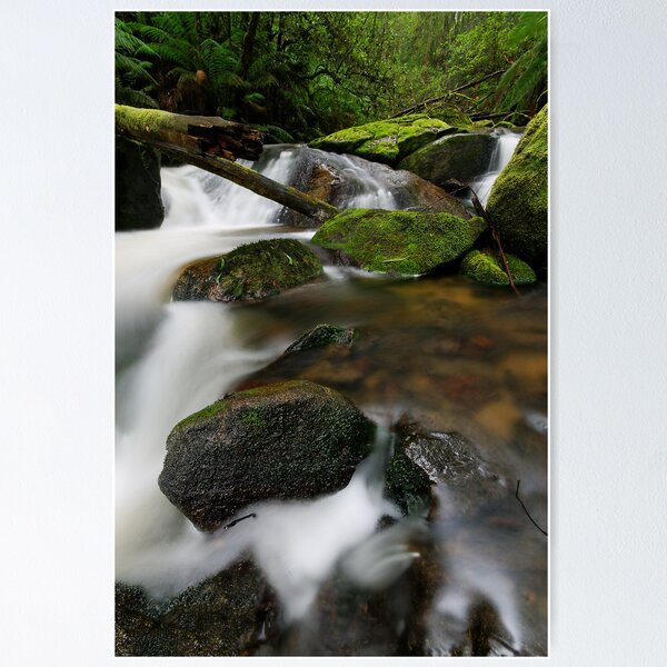 Item preview, Fresh Gippsland Greens designed and sold by Robert Mullner.