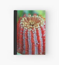 Red Banksia Hardcover Journal
