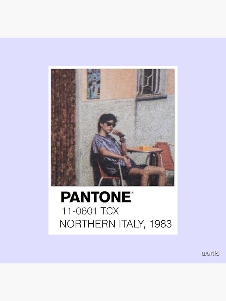 Pantone Call Me By Your Name Polaroid by wurlld