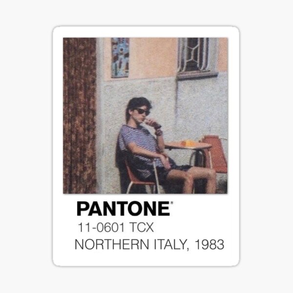 Pantone Call Me By Your Name Polaroid Sticker