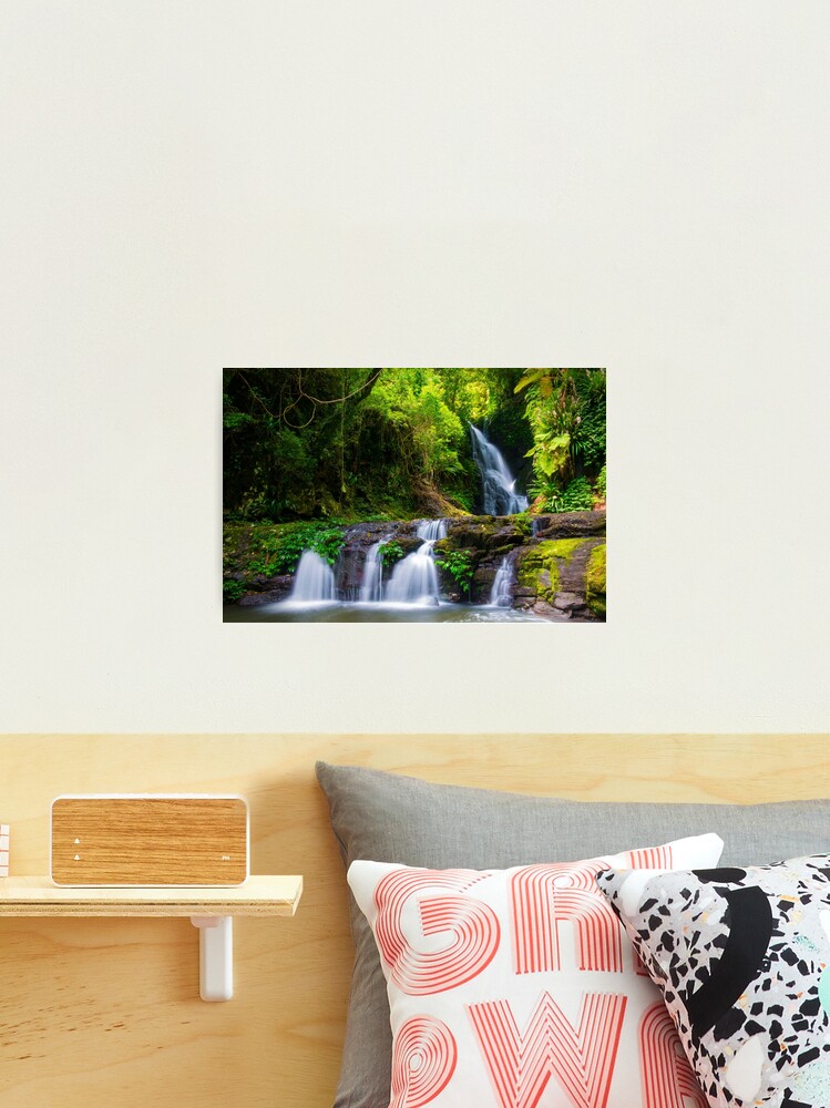 Thumbnail 2 of 3, Photographic Print, Lamington National Park designed and sold by AdrianAlford.