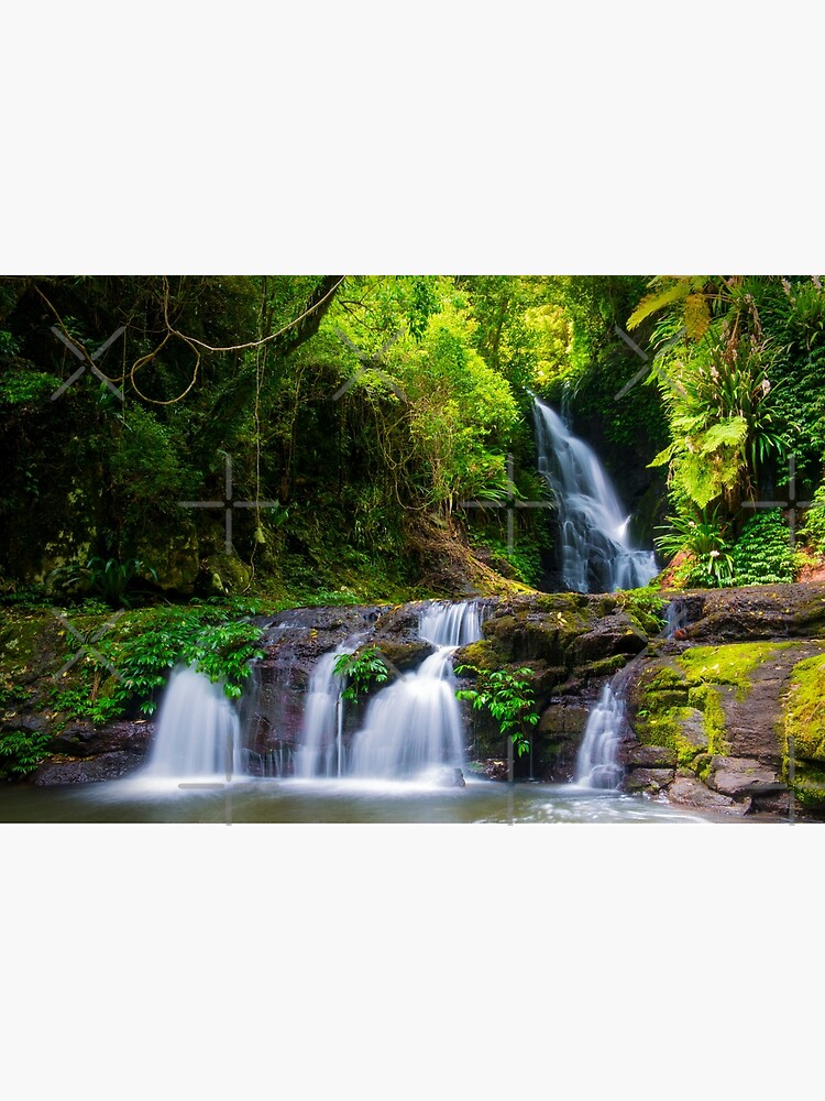 Thumbnail 3 of 3, Photographic Print, Lamington National Park designed and sold by AdrianAlford.