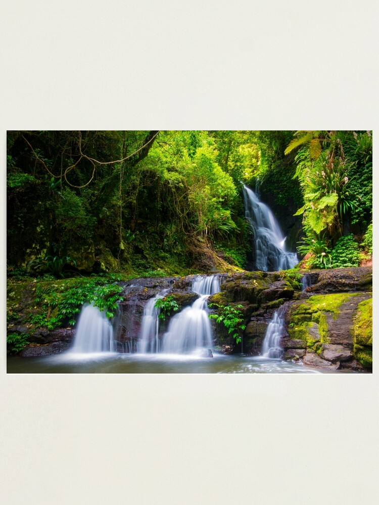 Thumbnail 1 of 3, Photographic Print, Lamington National Park designed and sold by AdrianAlford.