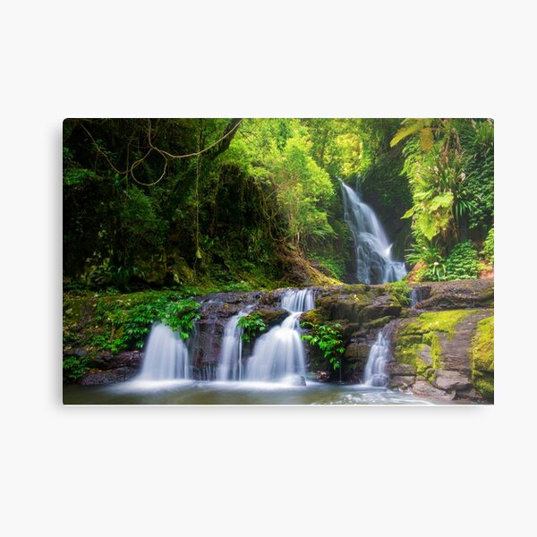 Item preview, Lamington National Park designed and sold by Adrian Alford Photography.